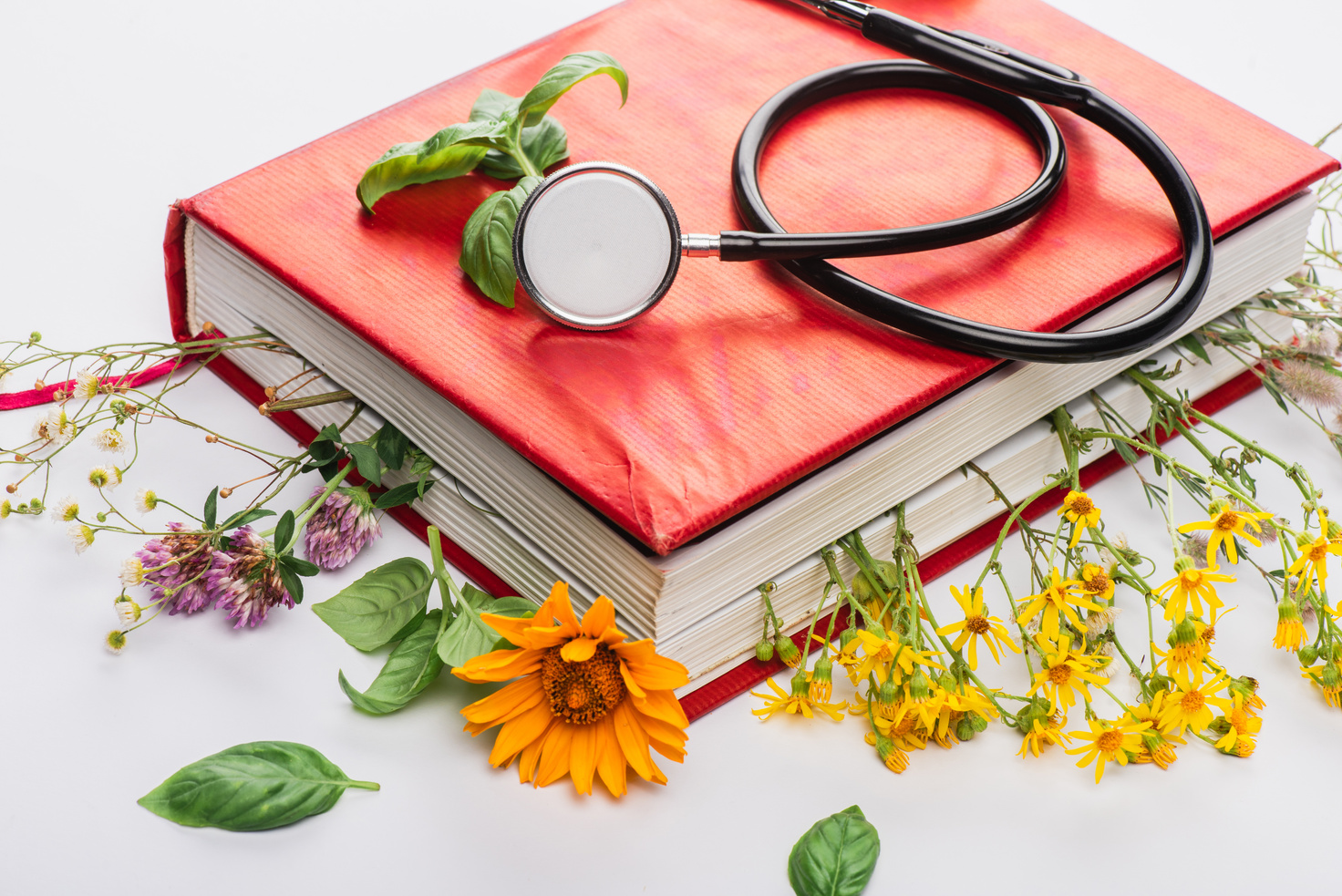 herbs in book with stethoscope on white background, naturopathy concept